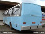 Transporte Nichetti MDN7450 na cidade de Treze Tílias, Santa Catarina, Brasil, por Alexandre M.  Sanches. Número da foto: #12649336.