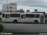 Viação Piraquara 29007 na cidade de Piraquara, Paraná, Brasil, por Petruko Rafael. Número da foto: #:id.