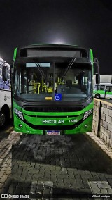 Transportes Capellini 12388 na cidade de Paulínia, São Paulo, Brasil, por Allan Henrique. Número da foto: #12648027.