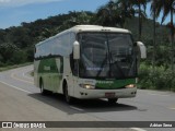Pássaro Verde 29016 na cidade de São Domingos do Prata, Minas Gerais, Brasil, por Adrian Sena. Número da foto: #12652714.
