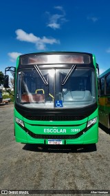 Transportes Capellini 32861 na cidade de Paulínia, São Paulo, Brasil, por Allan Henrique. Número da foto: #12651900.