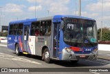 Empresa de Ônibus Vila Galvão 30.805 na cidade de São Paulo, São Paulo, Brasil, por George Miranda. Número da foto: #12653465.
