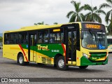 TREL - Transturismo Rei RJ 165.006 na cidade de Duque de Caxias, Rio de Janeiro, Brasil, por Diego Félix de Araujo. Número da foto: #12655078.