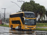 Brisa Ônibus 17202 na cidade de Juiz de Fora, Minas Gerais, Brasil, por André Luiz Gomes de Souza. Número da foto: #12656074.