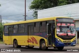 La Limpeña S.R.L. - Línea 49 101 na cidade de Caacupé, Cordillera, Paraguai, por José Paredes. Número da foto: #12654980.