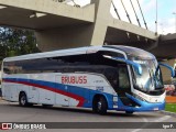 Brubuss Transportes 13000 na cidade de Barueri, São Paulo, Brasil, por Igor F.. Número da foto: #12655985.