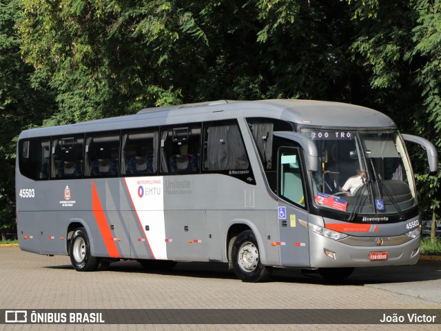 Empresa de Ônibus Pássaro Marron 5636 na cidade de São Paulo, São Paulo, Brasil, por João Victor. Número da foto: #12606606.
