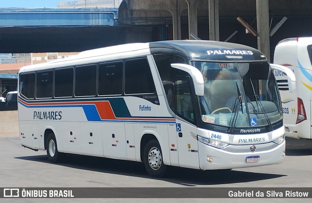 Expresso Palmares 2440 na cidade de Porto Alegre, Rio Grande do Sul, Brasil, por Gabriel da Silva Ristow. Número da foto: #12607715.