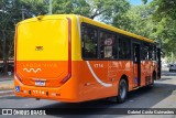 Transrosa 1714 na cidade de Lagoa Santa, Minas Gerais, Brasil, por Gabriel Costa Guimarães. Número da foto: #12607476.