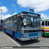 Ônibus Particulares 47644 na cidade de Barueri, São Paulo, Brasil, por Michel Nowacki. Número da foto: #12609615.