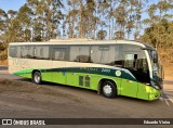 Turin Transportes 2455 na cidade de Congonhas, Minas Gerais, Brasil, por Eduardo Vieira. Número da foto: #12608538.