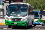 Verdes Premium 2806 na cidade de Pachuca de Soto, Hidalgo, México, por Ángel García Hernández. Número da foto: #12606635.