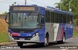 Transportes Capellini 17.215 na cidade de Campinas, São Paulo, Brasil, por Sérgio de Sousa Elias. Número da foto: #:id.