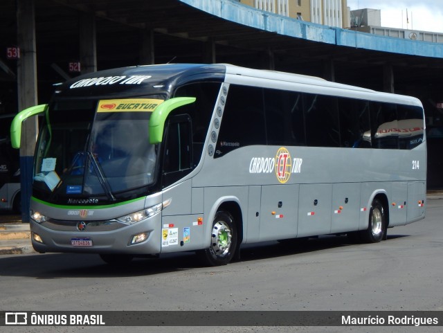 Cardoso Tur 214 na cidade de Porto Alegre, Rio Grande do Sul, Brasil, por Maurício Rodrigues. Número da foto: #12657247.