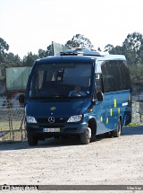 Transcovizela 5131 na cidade de Ovar, Aveiro, Portugal, por Vítor Vaz. Número da foto: #12657058.