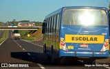 Oswaldo Brambilla Transporte Coletivo 0805 na cidade de Avaí, São Paulo, Brasil, por Sérgio de Sousa Elias. Número da foto: #12659369.