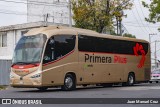 Primera Plus 5463 na cidade de Gustavo A. Madero, Ciudad de México, México, por Juan Manuel Cruz. Número da foto: #12658531.