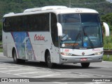 Ortolan Turismo 130 na cidade de Seropédica, Rio de Janeiro, Brasil, por Augusto César. Número da foto: #12657756.