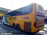 Empresa Gontijo de Transportes 17185 na cidade de Belo Horizonte, Minas Gerais, Brasil, por Maurício Nascimento. Número da foto: #12658249.
