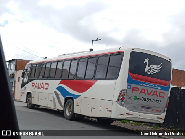 Turismo Pavão 20203 na cidade de Cotia, São Paulo, Brasil, por David Macedo Rocha. Número da foto: #12659797.