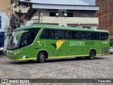 Pássaro Verde 11100 na cidade de Manhuaçu, Minas Gerais, Brasil, por Paulo Eller. Número da foto: #12659487.