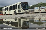 Viação do Sul 26603 na cidade de Curitiba, Paraná, Brasil, por Patrick  Luis Aifeld. Número da foto: #12662290.