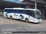 Citral Transporte e Turismo 3111 na cidade de Porto Alegre, Rio Grande do Sul, Brasil, por JULIO SILVA. Número da foto: #12661923.