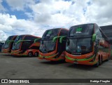 Empresa de Transportes Andorinha 7262 na cidade de São Paulo, São Paulo, Brasil, por Rodrigo Piragibe. Número da foto: #12660712.