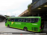 Pássaro Verde 11084 na cidade de Belo Horizonte, Minas Gerais, Brasil, por Maurício Nascimento. Número da foto: #:id.