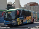 Turismo Pavão 4900 na cidade de São Paulo, São Paulo, Brasil, por Michel Soares da Rocha. Número da foto: #12663454.