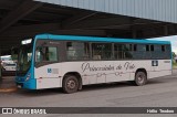 Princesinha do Vale 222333 na cidade de Resende, Rio de Janeiro, Brasil, por Hélio  Teodoro. Número da foto: #:id.