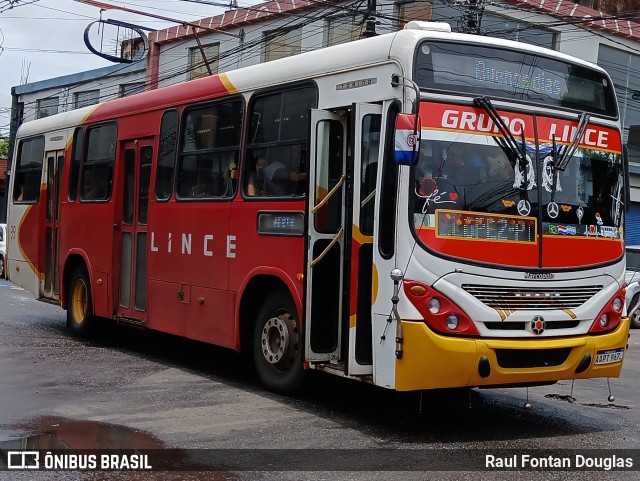 Lince 39 na cidade de San Lorenzo, Central, Paraguai, por Raul Fontan Douglas. Número da foto: #12665829.