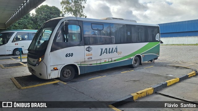 Viação Jauá 650 na cidade de Cruz das Almas, Bahia, Brasil, por Flávio  Santos. Número da foto: #12665415.