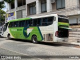 Pássaro Verde 11091 na cidade de Manhumirim, Minas Gerais, Brasil, por Paulo Eller. Número da foto: #12665680.