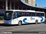 Citral Transporte e Turismo 3114 na cidade de Porto Alegre, Rio Grande do Sul, Brasil, por JULIO SILVA. Número da foto: #12667487.