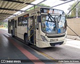 Viação Castelo Branco 25011 na cidade de Curitiba, Paraná, Brasil, por Andre Santos de Moraes. Número da foto: #12664983.