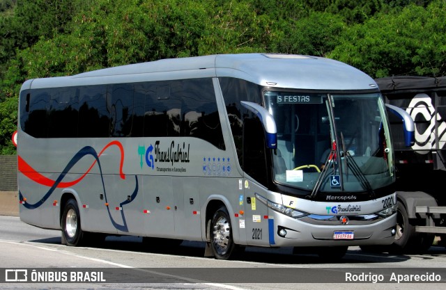 TransGabriel Transportes e Locações 2021 na cidade de Aparecida, São Paulo, Brasil, por Rodrigo  Aparecido. Número da foto: #12670491.