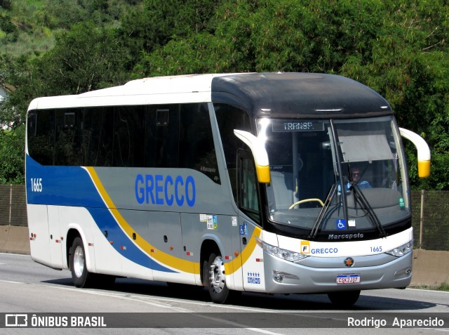 Grecco Tur 1665 na cidade de Abadia de Goiás, Goiás, Brasil, por Rodrigo  Aparecido. Número da foto: #12670189.
