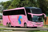 Novo Mundo Turismo 2800 na cidade de Muriaé, Minas Gerais, Brasil, por Lucas Oliveira. Número da foto: #:id.