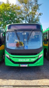 Transportes Capellini 32901 na cidade de Paulínia, São Paulo, Brasil, por Allan Henrique. Número da foto: #12670452.