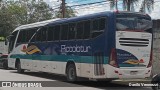 Piccolotur Transportes Turísticos 4710 na cidade de São Paulo, São Paulo, Brasil, por Danilo Veronezzi. Número da foto: #12668169.