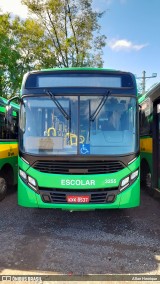 Transportes Capellini 3255 na cidade de Paulínia, São Paulo, Brasil, por Allan Henrique. Número da foto: #12670443.