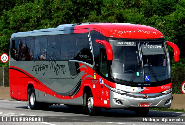 Empresa de Ônibus Pássaro Marron 6005 na cidade de Aparecida, São Paulo, Brasil, por Rodrigo  Aparecido. Número da foto: #12673598.