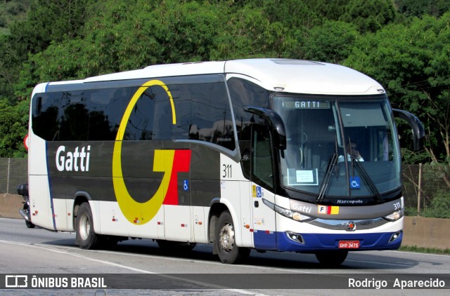 Gatti 311 na cidade de Aparecida, São Paulo, Brasil, por Rodrigo  Aparecido. Número da foto: #12673679.