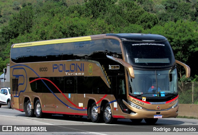 Poloni Turismo 8000 na cidade de Aparecida, São Paulo, Brasil, por Rodrigo  Aparecido. Número da foto: #12672705.