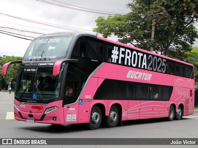 Eucatur - Empresa União Cascavel de Transportes e Turismo 6012 na cidade de São Paulo, São Paulo, Brasil, por João Victor. Número da foto: #12673538.