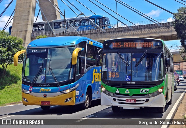 Cooperativa Cotalcamp 237 na cidade de Campinas, São Paulo, Brasil, por Sérgio de Sousa Elias. Número da foto: #12674143.