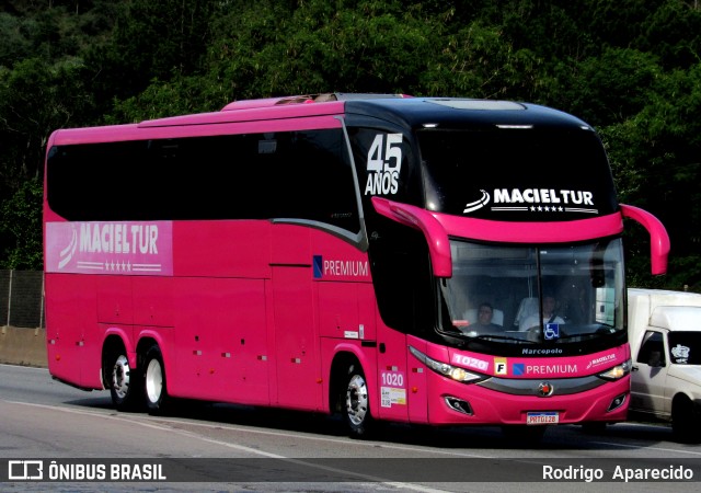 Maciel Tur 1020 na cidade de Aparecida, São Paulo, Brasil, por Rodrigo  Aparecido. Número da foto: #12672751.