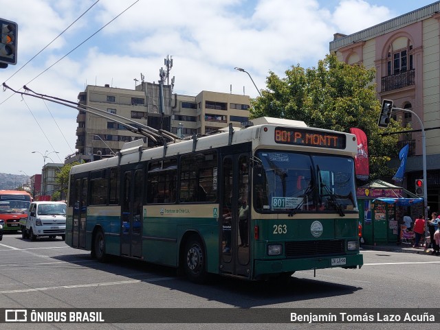 Trolebuses Chile 263 na cidade de Valparaíso, Valparaíso, Valparaíso, Chile, por Benjamín Tomás Lazo Acuña. Número da foto: #12674655.