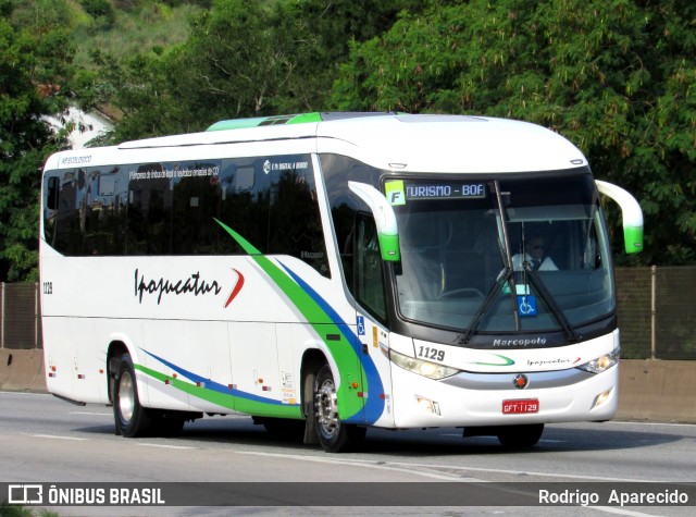 Ipojucatur 1129 na cidade de Aparecida, São Paulo, Brasil, por Rodrigo  Aparecido. Número da foto: #12673553.